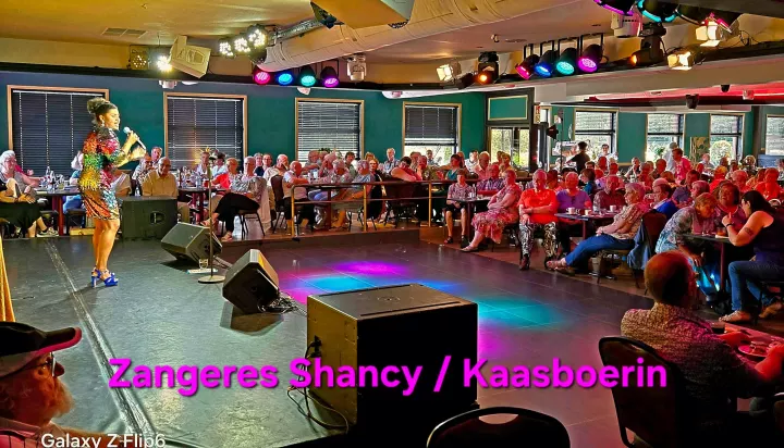 Sfeerfoto van een optreden van Shancy